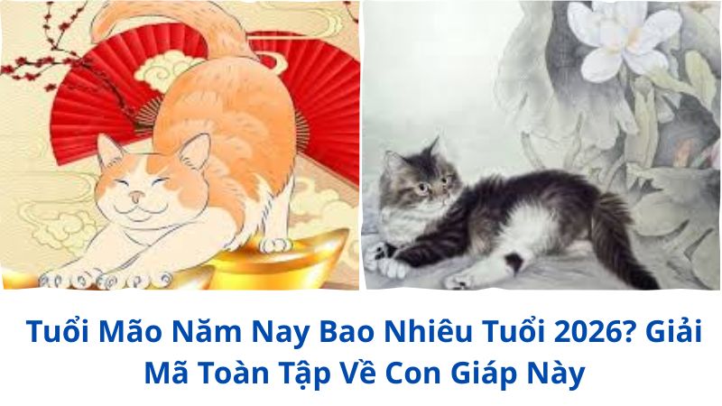 tuoi-mao-nam-nay-bao-nhieu-tuoi (1)