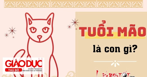 tuoi-mao-sinh-nam-bao-nhieu-giai-ma-van-menh-tinh-cach-va-ca_361