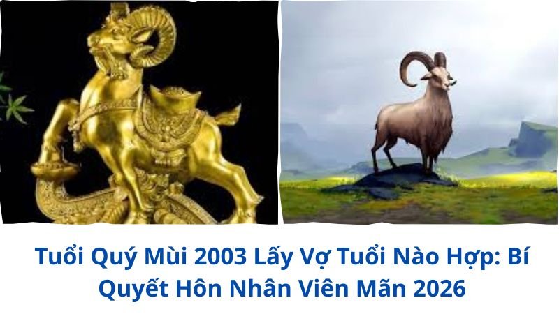 tuoi-quy-mui-2003-lay-vo-tuoi-nao-hop