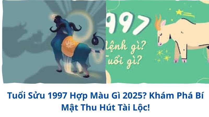 tuoi-suu-1997-hop-mau-gi-2025 (1)