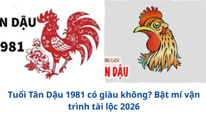 tuoi-tan-dau-1981-co-giau-khong