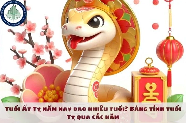 tuoi-ty-nam-nay-bao-nhieu-tuoi-2026-giai-ma-van-menh-ran-van_925