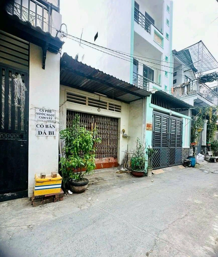 tuổi tỵ năm nay bao nhiêu tuổi