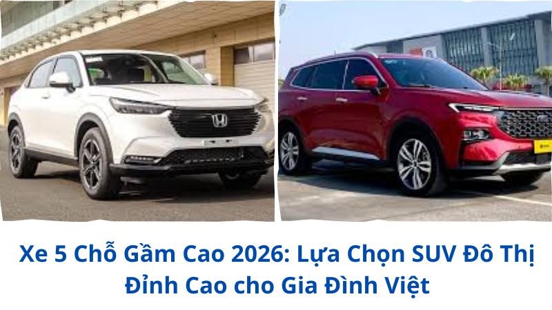 xe-5-cho-gam-cao