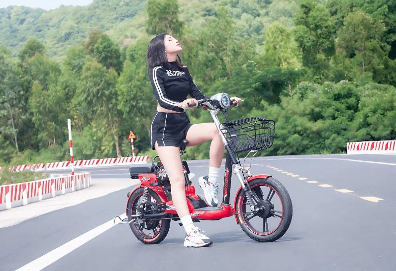 xe-dap-dien-5-trieu-huong-dan-mua-sam-thong-minh-va-top-mau-_153