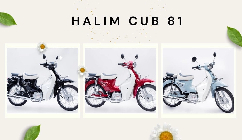 xe máy 50cc cho học sinh nữ - Halim Cub 81