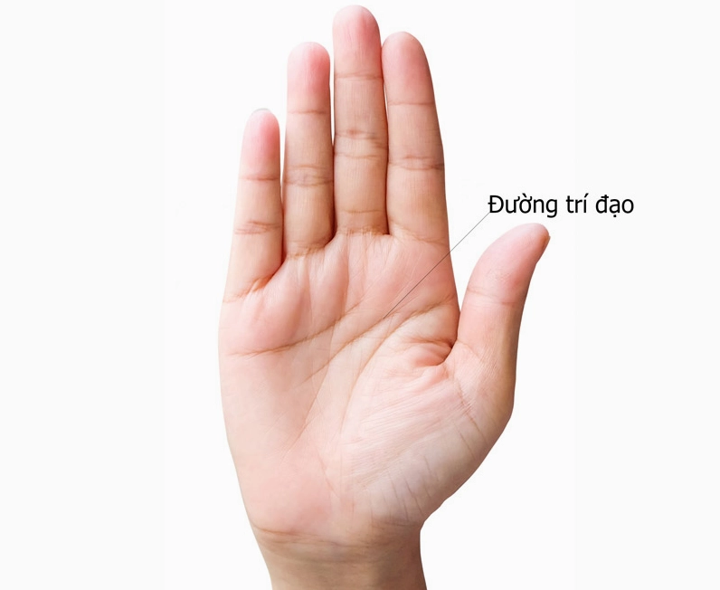 xem bói chỉ tay