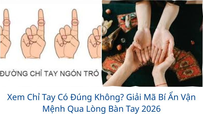 xem-chi-tay-co-dung-khong