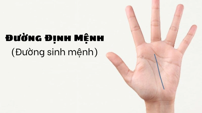 Xem chỉ tay đường định mệnh