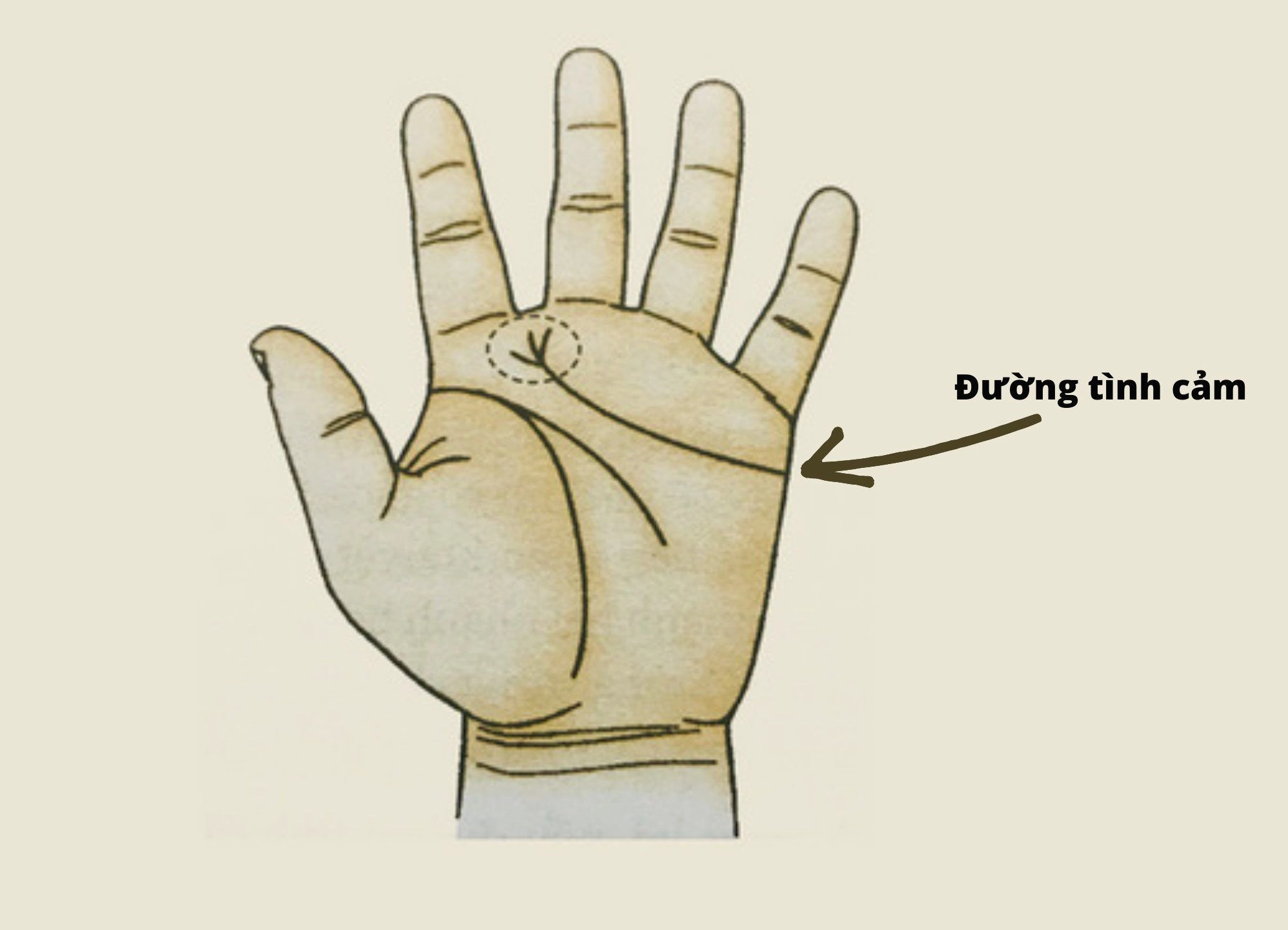 Xem chỉ tay đường tình duyên