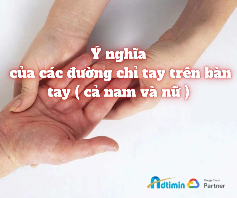 xem-chi-tay-nu-2026-giai-ma-van-menh-tinh-duyen-su-nghiep-ch_450
