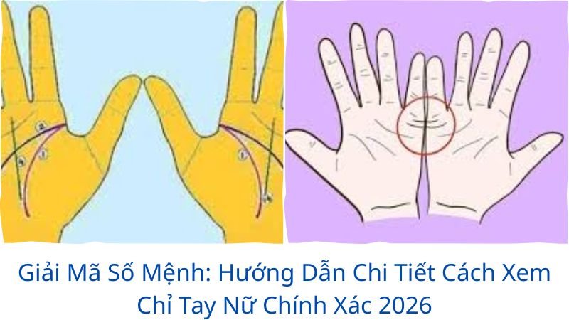 xem-chi-tay