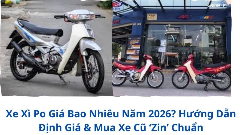 xi-po-gia-bao-nhieu