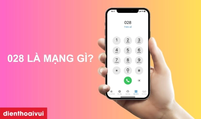 02289-la-mang-gi-giai-ma-bi-an-cac-dau-so-0289-02899-028999-_277