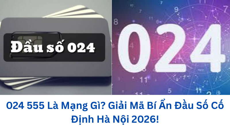 024-555-la-mang-gi