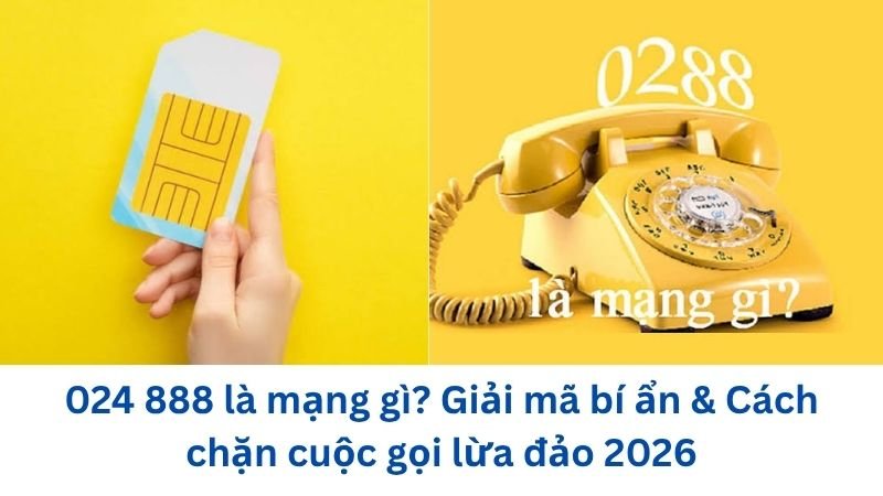 024-888-la-mang-gi