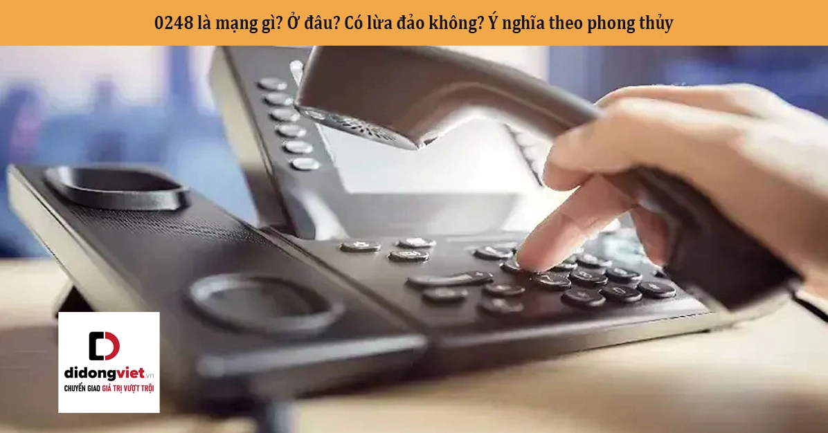 0248-la-mang-gi-giai-ma-bi-an-ma-vung-dau-so-lua-dao-024-888_615