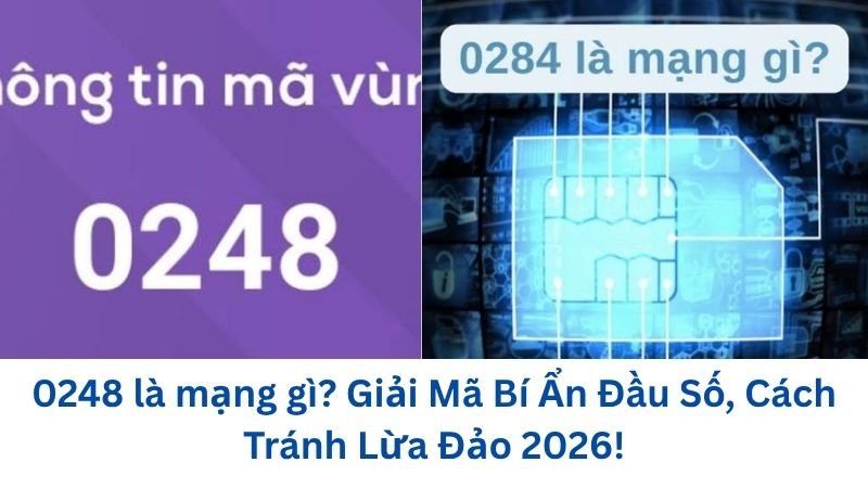 0248-la-mang-gi