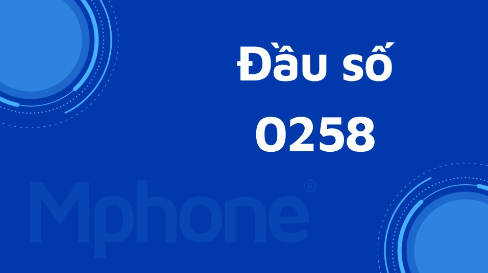 0258-la-mang-gi-giai-ma-dau-so-co-dinh-khanh-hoa-vnpt-nam-20_550