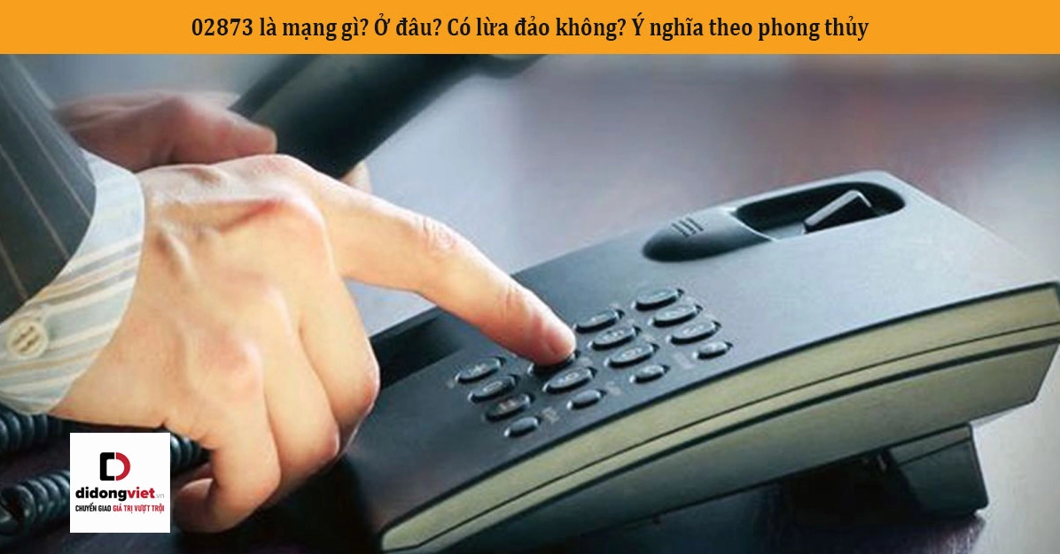 02873 là mạng gì