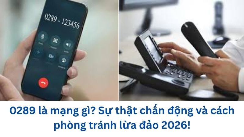 0289-la-mang-gi