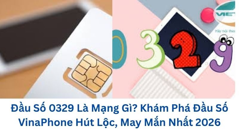 0329-la-mang-gi