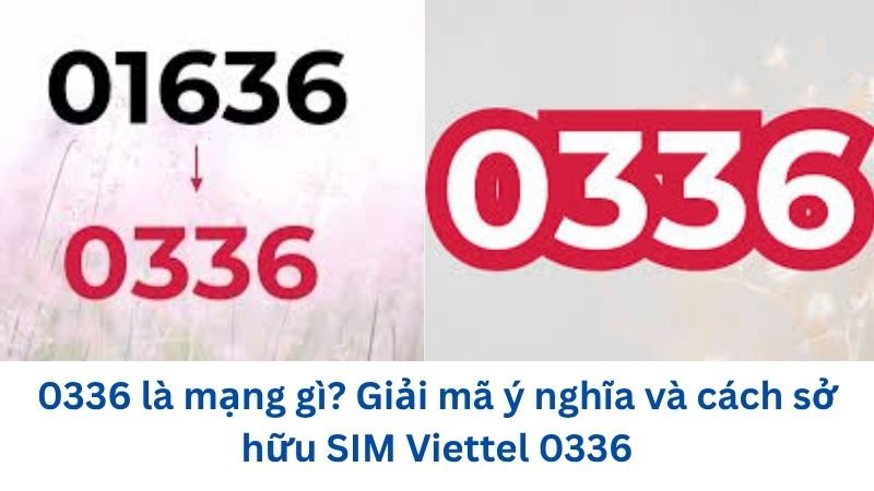 0336-la-mang-gi