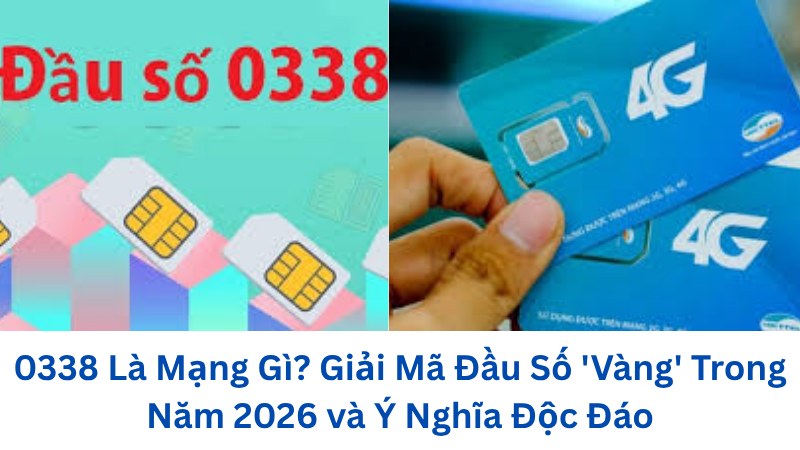 0338-la-mang-gi
