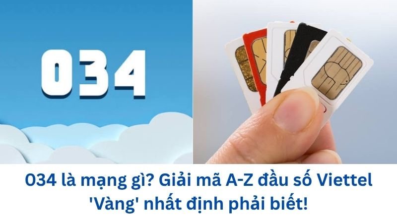 034-la-mang-gi
