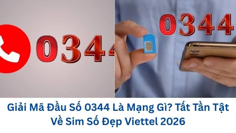 0344-la-mang-gi
