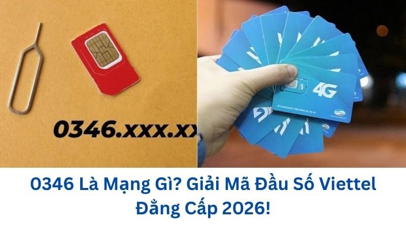 0346-la-mang-gi