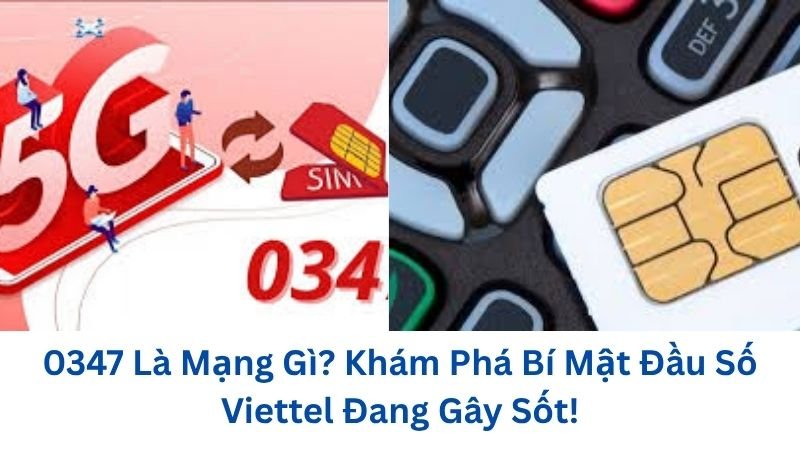 0347-la-mang-gi