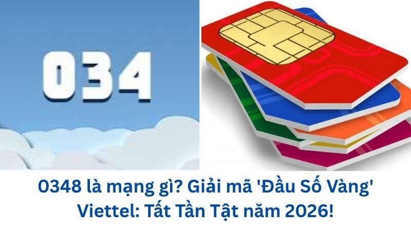0348-la-mang-gi