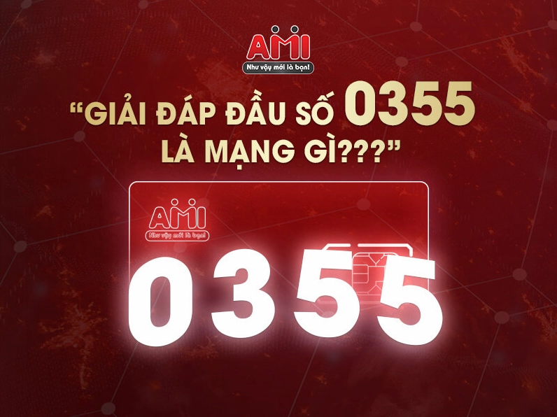 0355 mạng gì