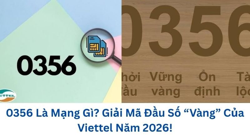 0356-la-mang-gi