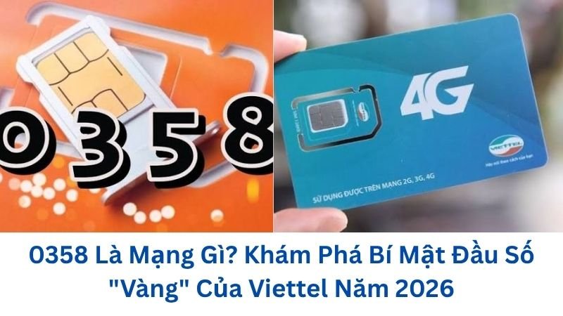 0358-la-mang-gi