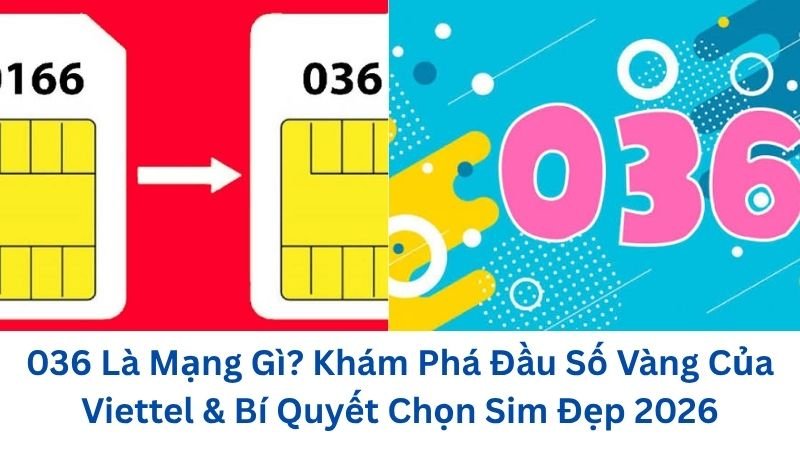 036-la-mang-gi