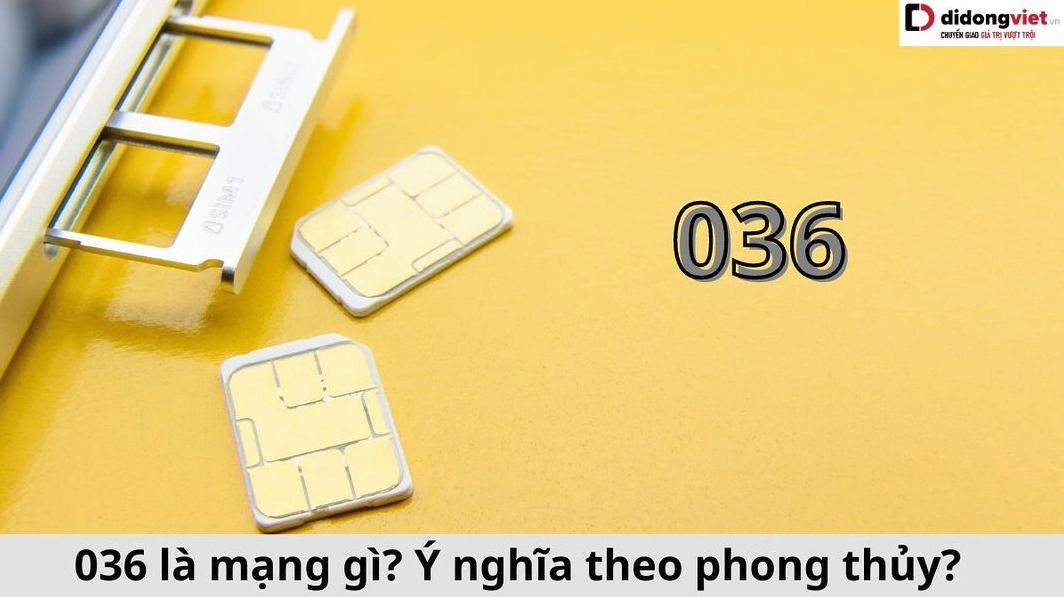 036 là mạng gì