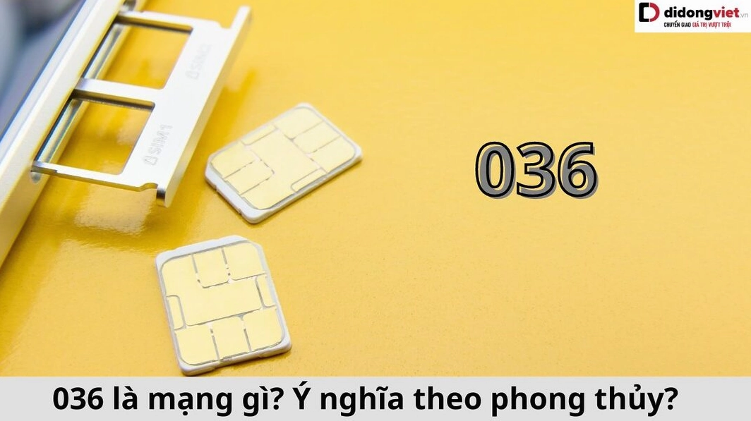 036 là mạng gì