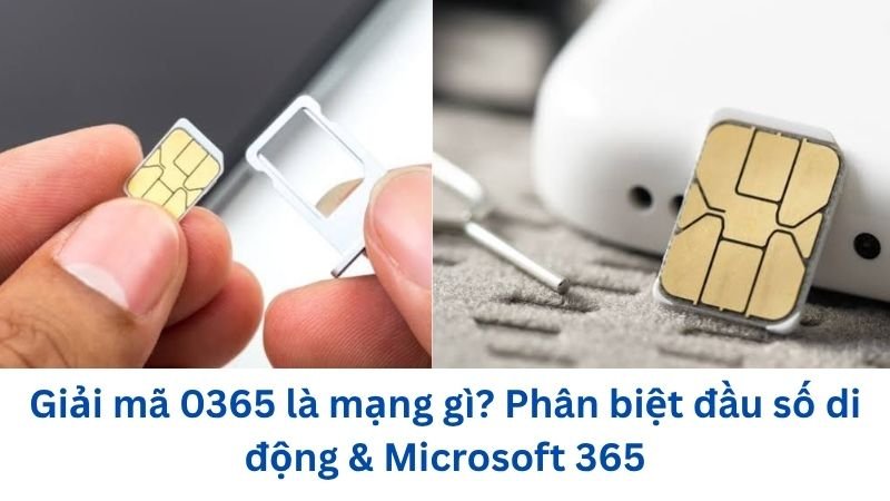 0365-la-mang-gi