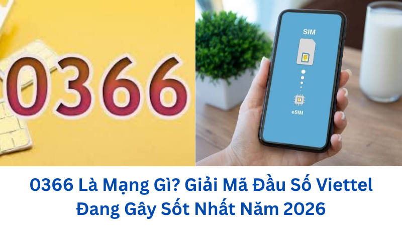 0366-la-mang-gi