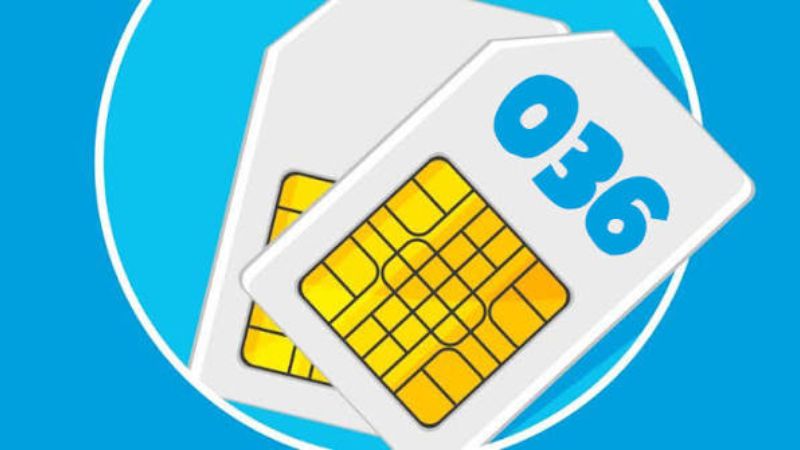 0366-mang-gi-2