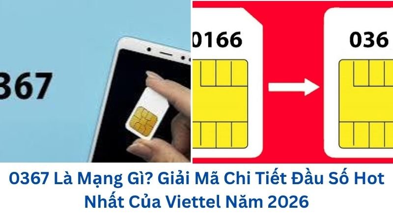 0367-la-mang-gi