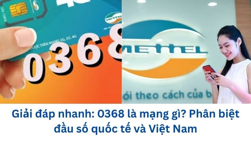 0368-la-mang-gi