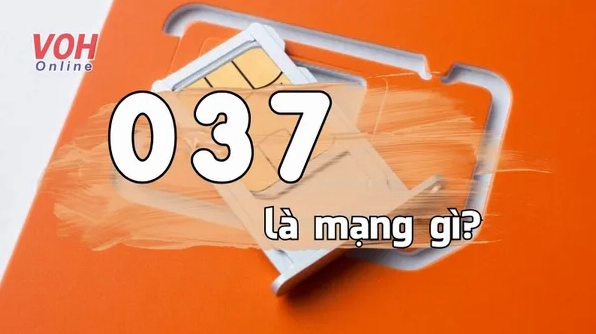 037-la-mang-gi-giai-ma-bi-an-dau-so-vang-viettel-thu-hut-tai_139