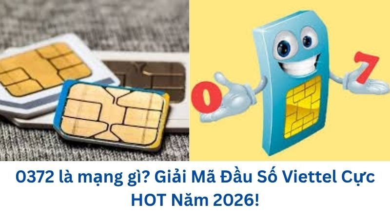 0372-la-mang-gi