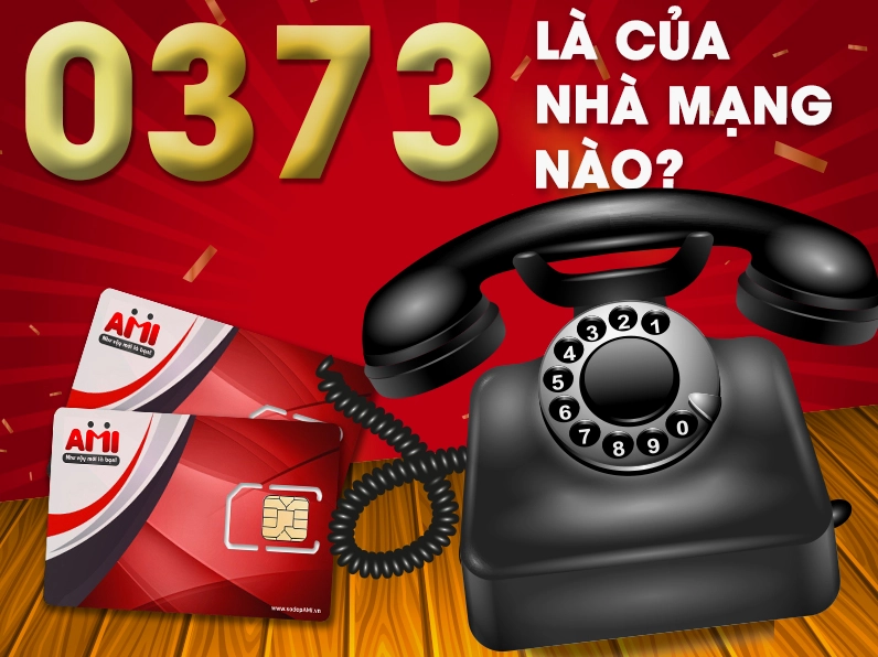 0373-la-mang-gi-giai-ma-dau-so-vang-cua-viettel-trong-nam-20_638