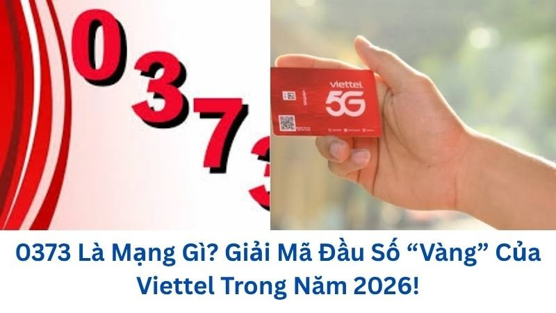 0373-la-mang-gi