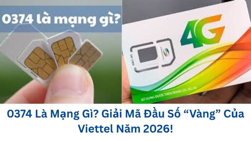 0374-la-mang-gi