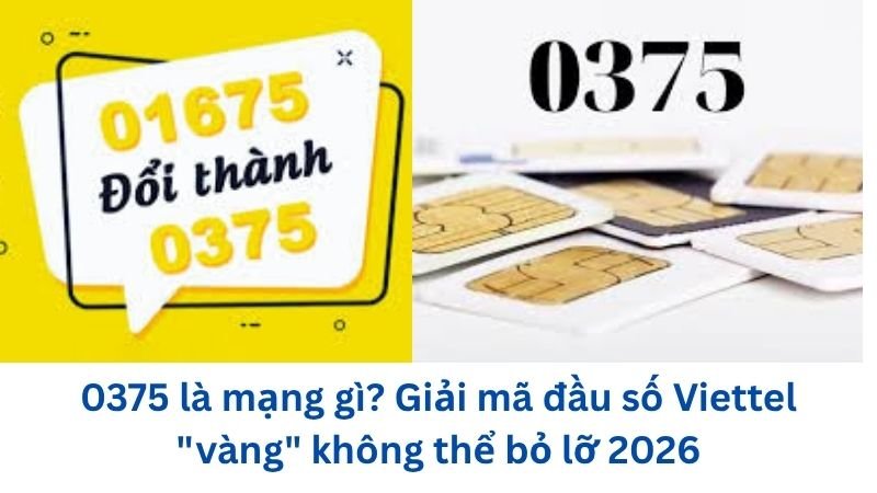 0375-la-mang-gi